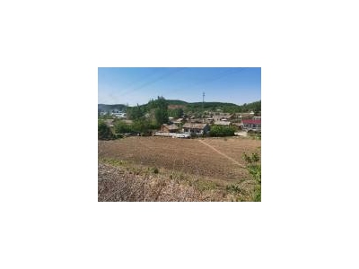 (出售) 出售吉林的农村平房图1