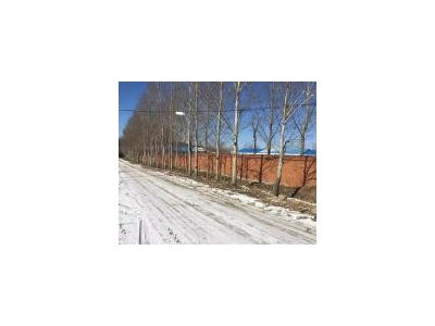 (出售) 交通便利，地理位置优越厂房出售！图2