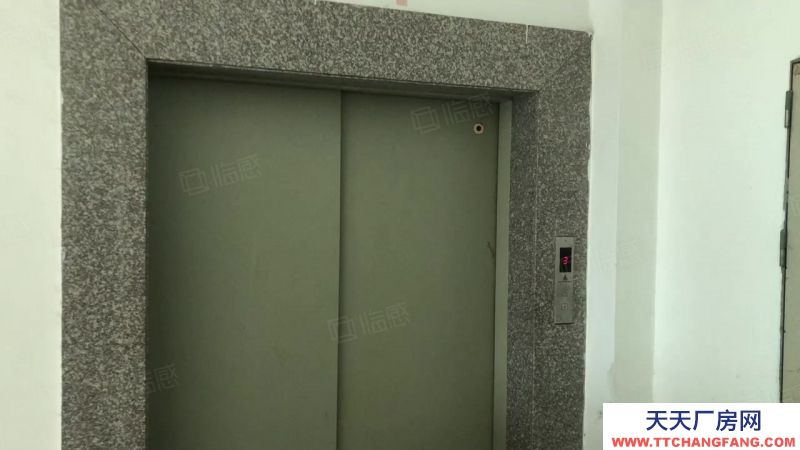 (出租) 汕头鮀浦大学路 混泥土结构 大车可到 带货梯 独立变压器 配套齐