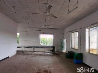 岳阳市君山区 厂房面积600平米，外部空旷，内部空间大，可塑性强！图2