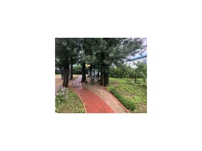 (出售) 出售丰满红旗高速口厂房价格可议图1