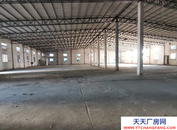 (出租) 汕头大学路鮀浦段靠近月浦沟南纯1楼占地900平钢结构厂房滴水8米