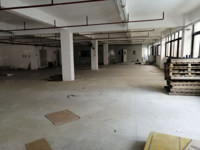 (出租) 汕头大学路升平工业区独立门户二三四楼约2500平，有人货电梯图1
