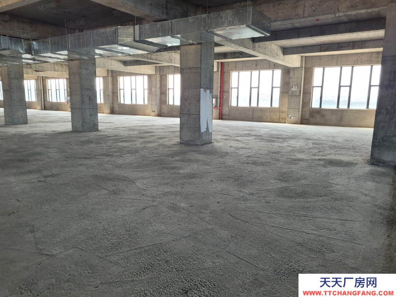 (出租) 汕头濠江保税区15000平可分割出租，1楼层高12米配有天车地磅