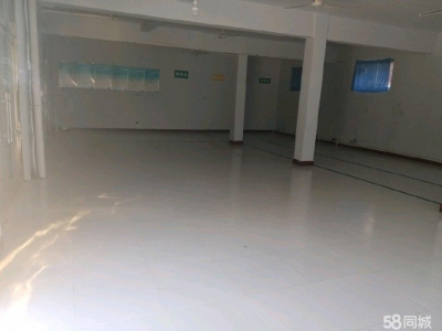滨州无棣交通方便，适合存货网店，安静图1