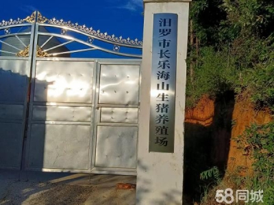 岳阳市汨罗区 现有猪舍五栋宿舍厨房办公区域三栋三证齐全图1