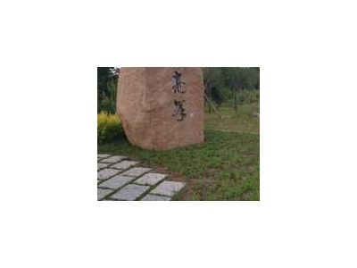 (出租) 出租吉林永吉口前镇经济开发区彩钢标准厂房图2
