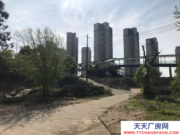 岳阳市汨罗区区大仓库大住房出租