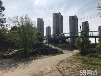 岳阳市汨罗区区大仓库大住房出租图4