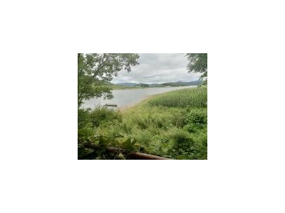 (出售) 吉林蛟河市庆岭镇杨木沟湖景房出售图4