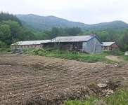 (出售) 吉林蛟河天岗镇周边养殖基地