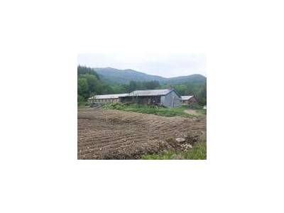 (出售) 吉林蛟河天岗镇周边养殖基地图2