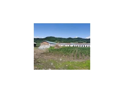 (出售) 低价出售，出租蛟河市庆岭镇靠江村小学厂房出租出售图3