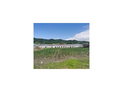 (出售) 低价出售，出租蛟河市庆岭镇靠江村小学厂房出租出售图1