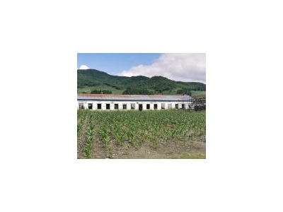 (出售) 低价出售，出租蛟河市庆岭镇靠江村小学厂房出租出售图2