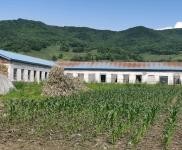 (出售) 低价出售，出租蛟河市庆岭镇靠江村小学厂房出租出售
