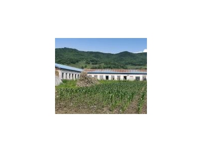 (出售) 低价出售，出租蛟河市庆岭镇靠江村小学厂房出租出售图4
