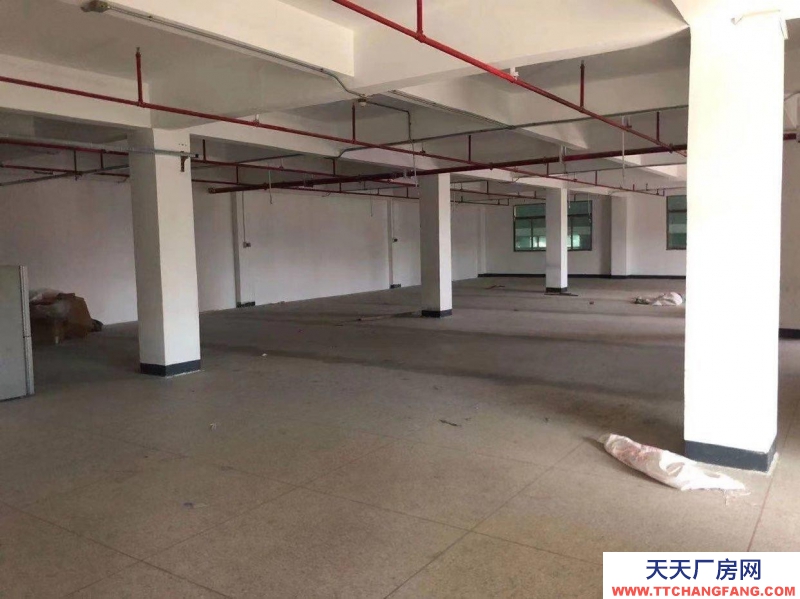 (出租) 汕头厂房仓库招租1-4楼 价格详谈