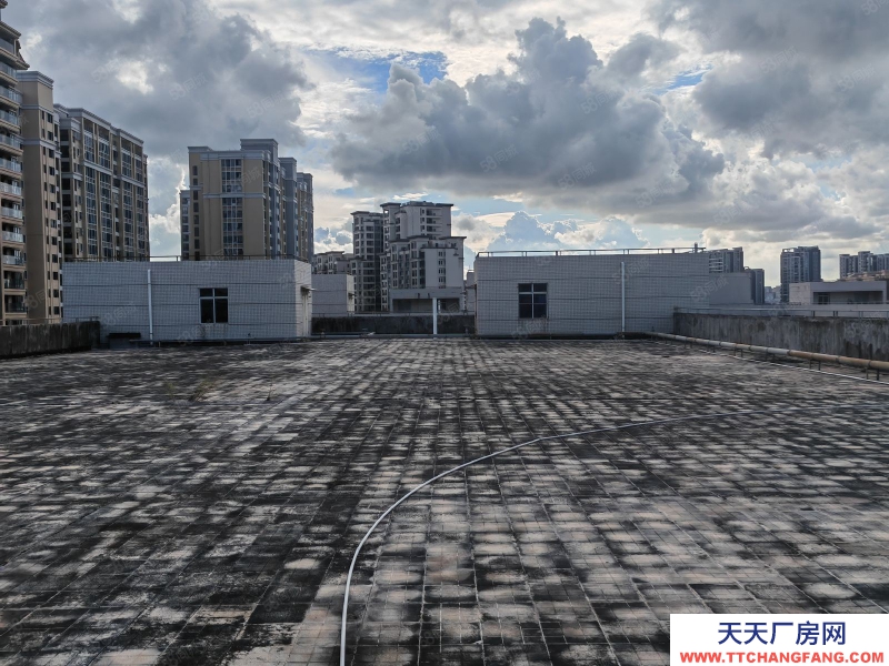 (出租) 汕头潮汕路边20亩三面路铺面办公仓库13474平总租分租均可