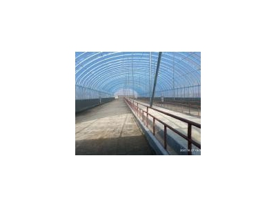 (出租) 舒兰新建牛场对外租赁，占地面积一万平，配套设施齐全，价格面议。图2