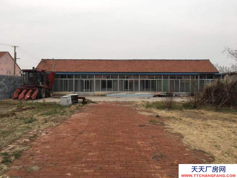 滨州博兴县吕艺镇，农家小院出租或转让