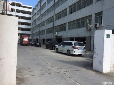 (出租) 汕头混凝土结构，地面水磨石处理，交通方便，配集装箱车装卸平台图1