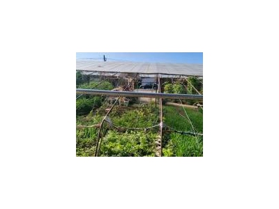 (出售) 铁西正房120平房60平，有上下水猪圈暖棚图2