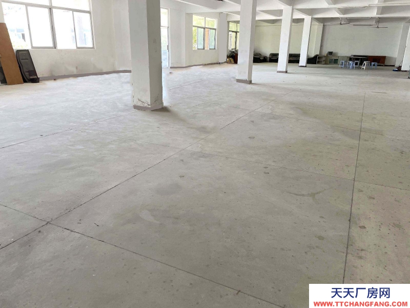 (出租) 汕头濠江仓库内有超大停车场