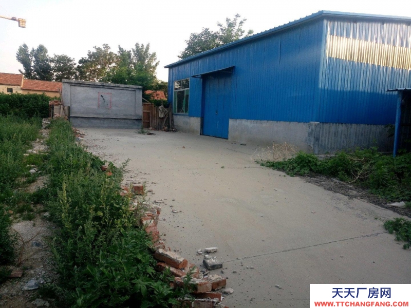 滨州邹平史营村400平方钢结构大棚，附带民房，可用做仓库，水电齐全，