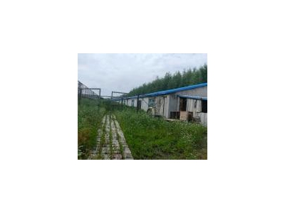 (出售) 铁西建设用地，养殖手续。图2