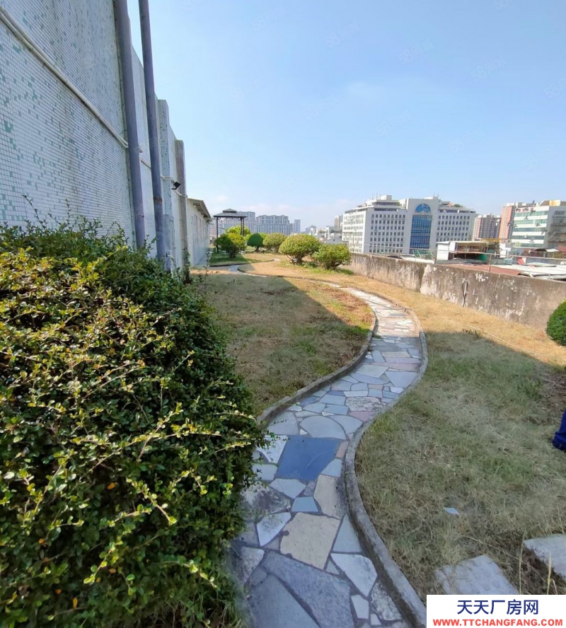 (出售) 汕头衡山路 御景江南对面 电梯8楼 带天面一层 实用面积大