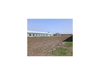 (出售) 梨树县万发加油站后身大院出售，面积9000平方米，临街！图3