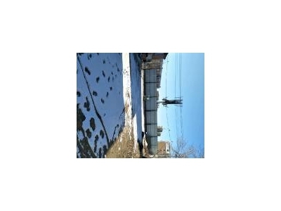 (出租) 梨树原车间厂房，现改与仓库。图1