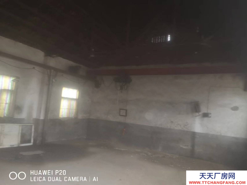 莱芜个人厂房，可工业，可办公，高庄大北冶村。国道附近。