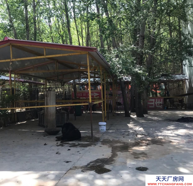 西宁独立小院 占地两亩 交通便利 院外有单独的停车场