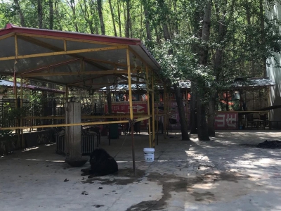 西宁独立小院 占地两亩 交通便利 院外有单独的停车场图1