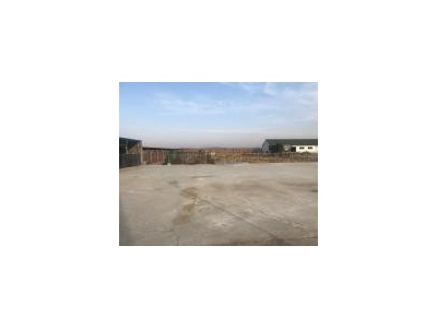 (出售) 土地面积8000平，有牛舍，牛棚，三相电，可以养殖。图3