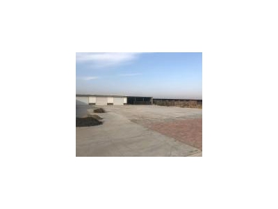 (出售) 土地面积8000平，有牛舍，牛棚，三相电，可以养殖。图2