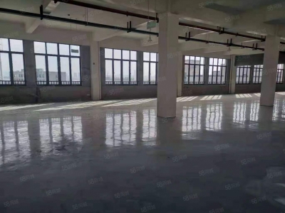 湖州吴兴(出租) 房东直租880平标准厂房出租图1