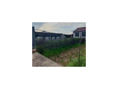 (出售) 东辽适合养殖 开场 前后有院子图2