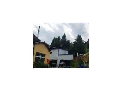 (出租) 出租、出售、出兑卞家店国道201路旁厂房（英语报社东侧）图2
