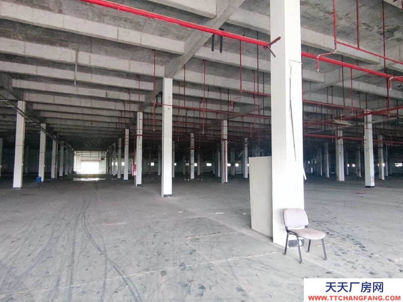 (出租) 江门蓬江珠西化工园内，1万方化工园招租，配置消防设施和污水处理池