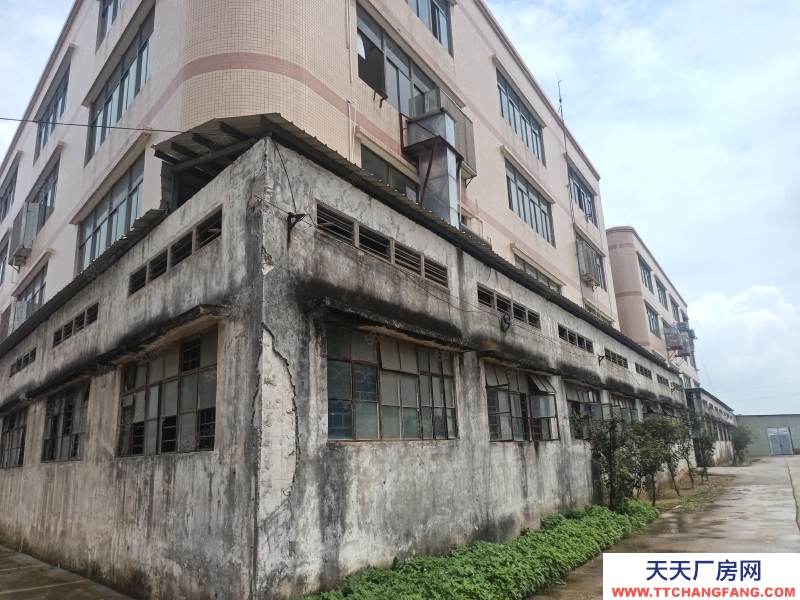(出租) 江门蓬江独栋厂房出租6280方