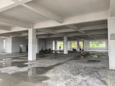 (出租) 江门可办环评荷塘西江大桥，独门独院，全新4800平方标准厂图1