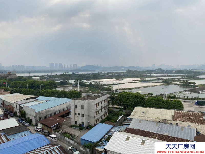 (出租) 江门可办环评荷塘西江大桥，独门独院，全新4800平方标准厂