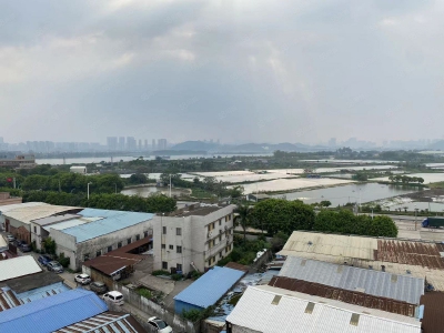 (出租) 江门可办环评荷塘西江大桥，独门独院，全新4800平方标准厂图2