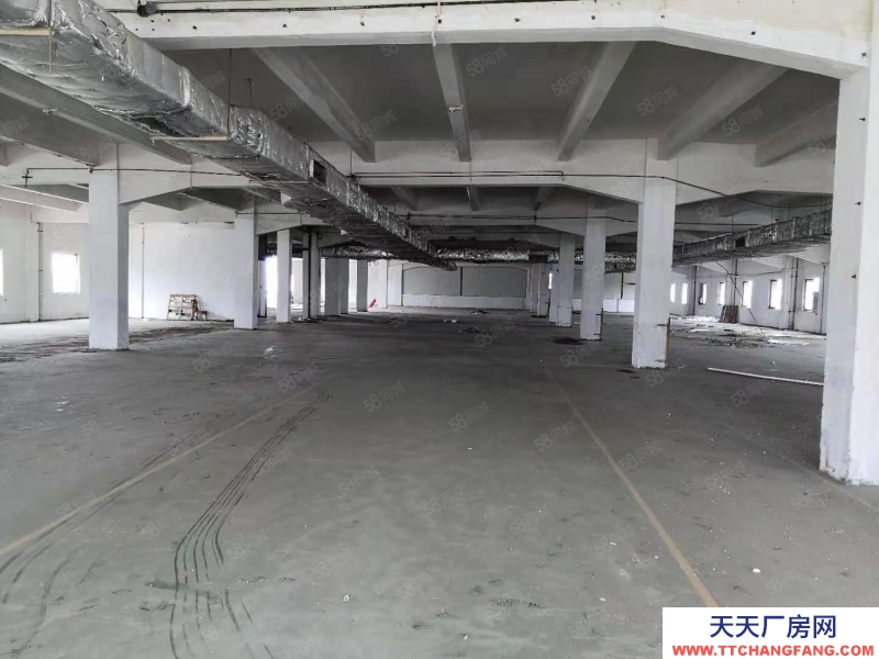 (出租) 江门蓬江地下一楼1000平方 电150以上 水电齐 大路边