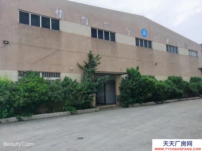 (出租) 江门新会睦州35000方厂房出租 可分租