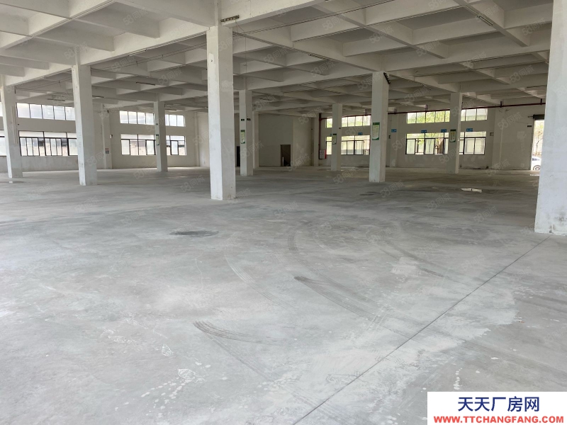 (出租) 江门新会睦州35000方厂房出租 可分租