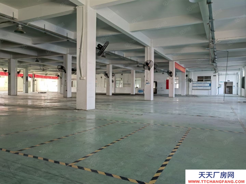 (出租) 江门市新会区睦洲镇新沙工业区独院16250平方标准厂房出租